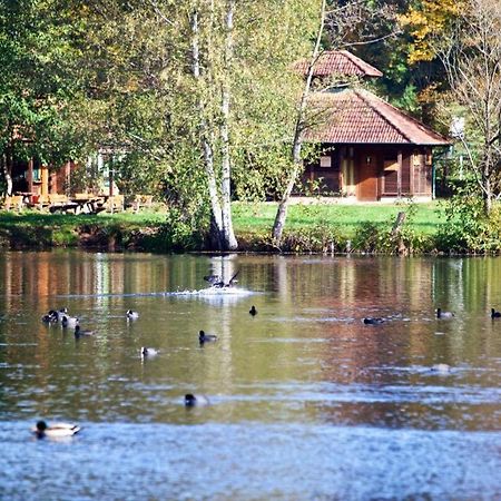 Seen- Und Felsenland Ludwigswinkel Kültér fotó