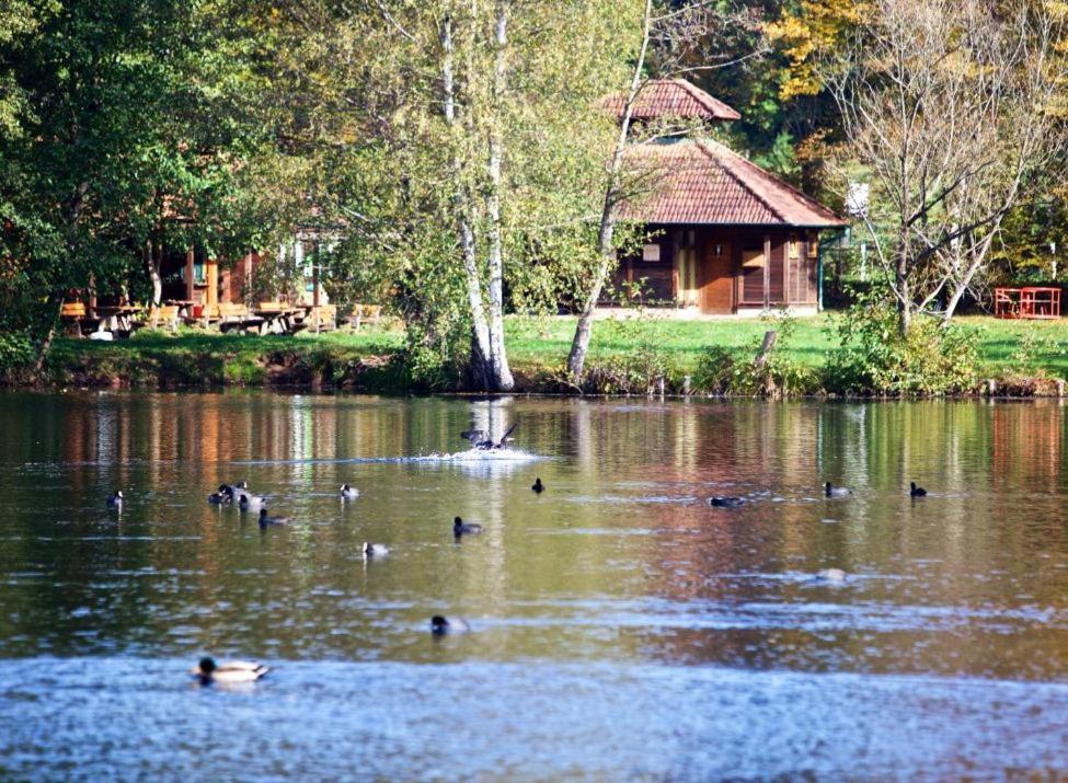 Seen- Und Felsenland Ludwigswinkel Kültér fotó